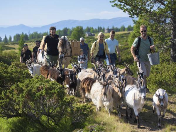 Langedrag Naturpark