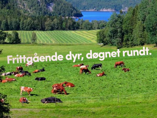 Toddum Gårdsysteri