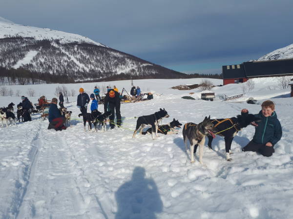 Parken gård husky