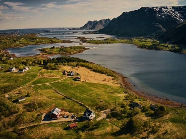 Lofoten Wool / Høystålet