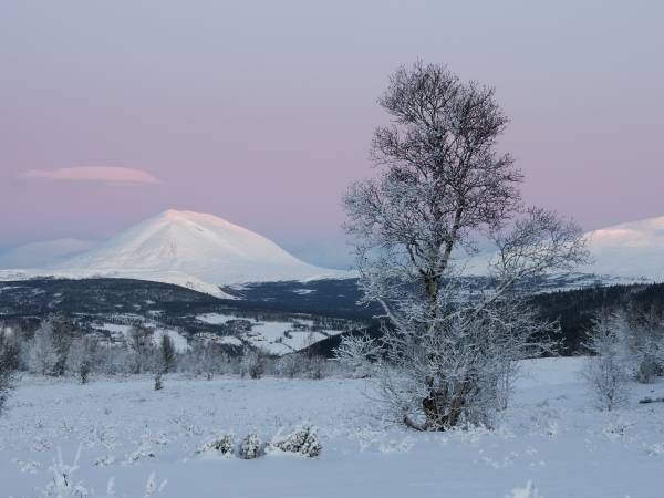 Ruten Fjellstue