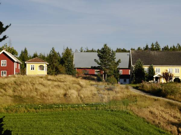 Tjamsland gård