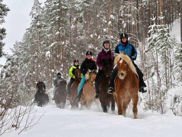 Øien Øvre Fjellridning og Hesteaktiviteter