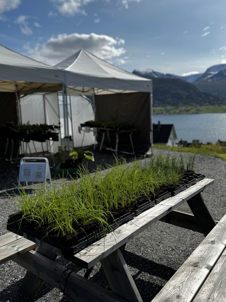 Frå omtrent midten av april til midten av juni er det sjølvbetjent planteutsalg ved nedkøyringa til Jørnbruket (Øvre Nordstranda 96). Der kan ein handle økologiske oppalsplantar av grønsaker og krydder.