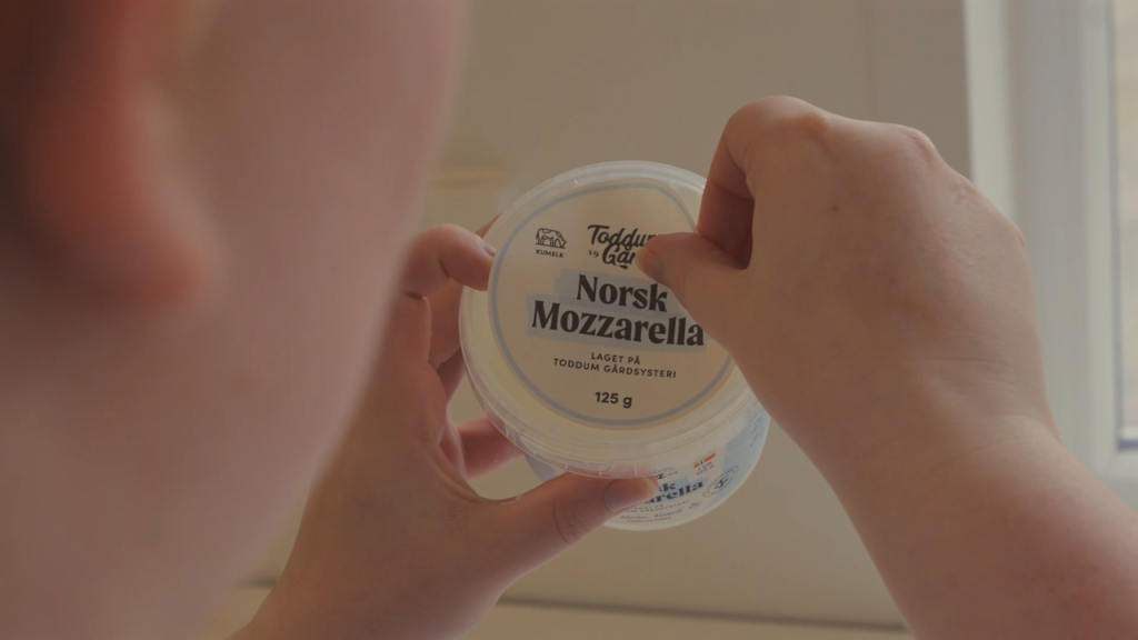 Fersk Mozzarella