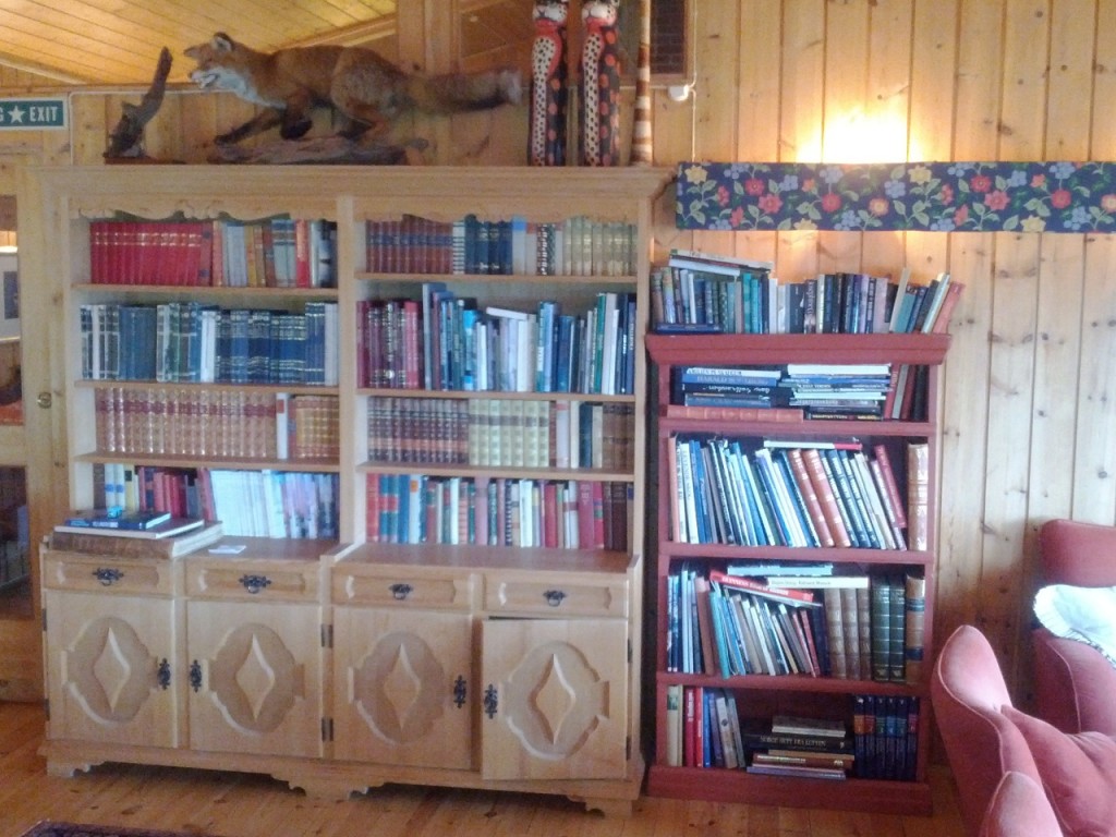 Biblioteket i dagligstua