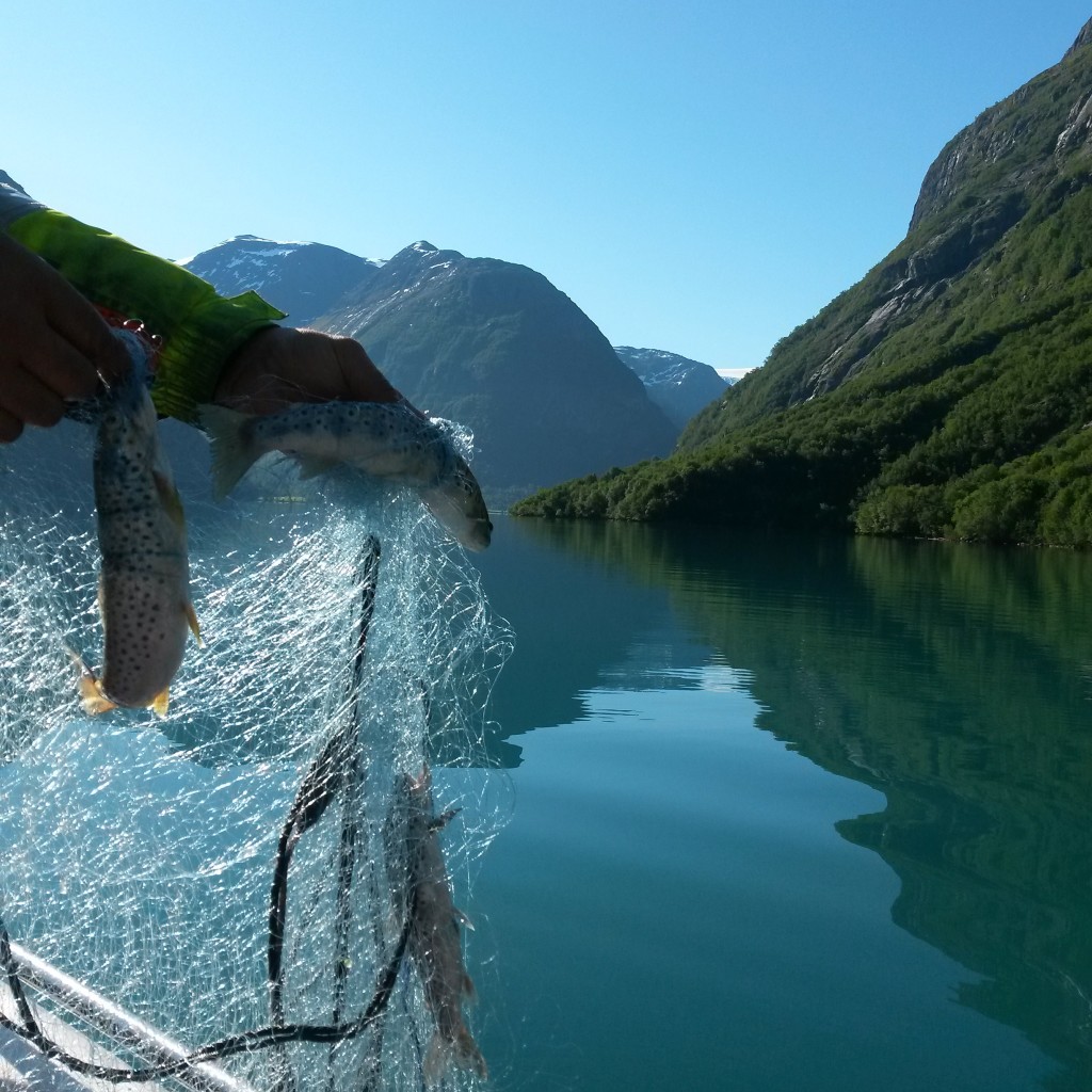 Garnfiske på Lovatnet.