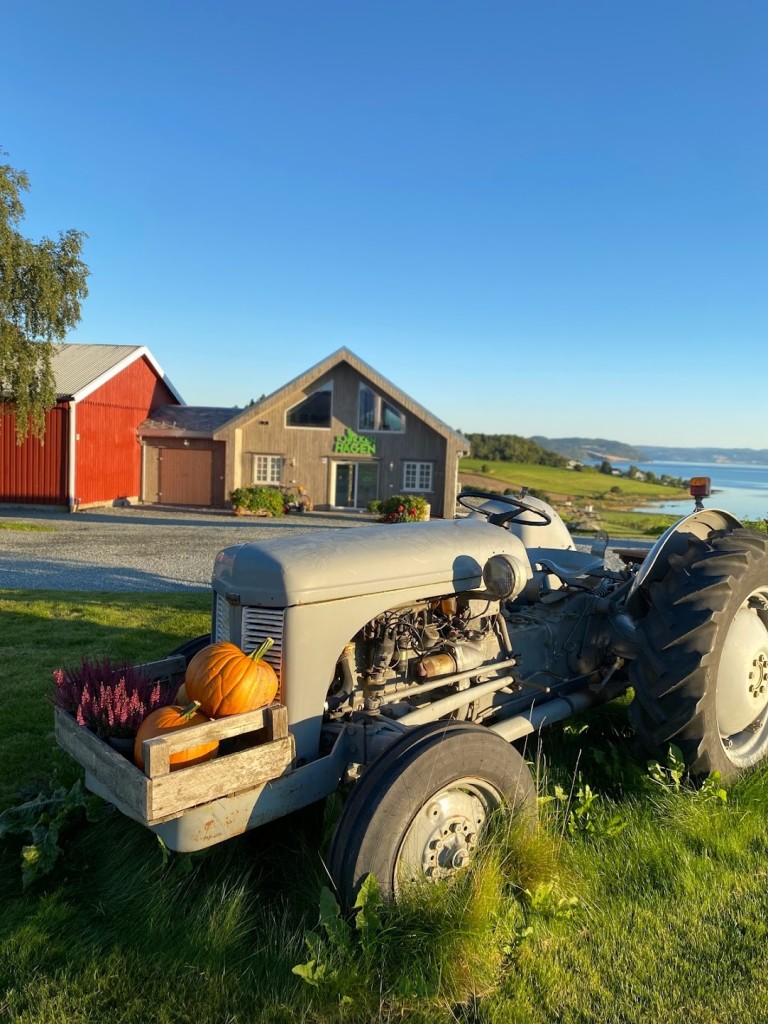 Kjøkkenhagen Gårdsutsalg og kafe