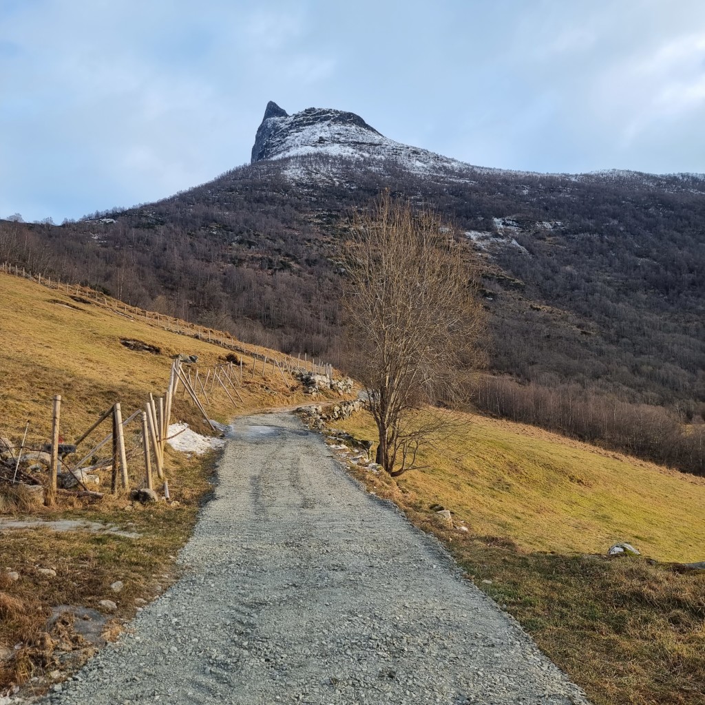 Traktorvegen før ein begynne på stien opp mot Storseterfossen.