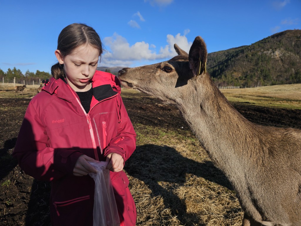 Lilli-Marie og Caramel er gode venner. Ihvertfall når det er en eplebit som lokker.