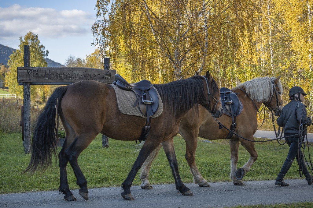På vei til ridebanen