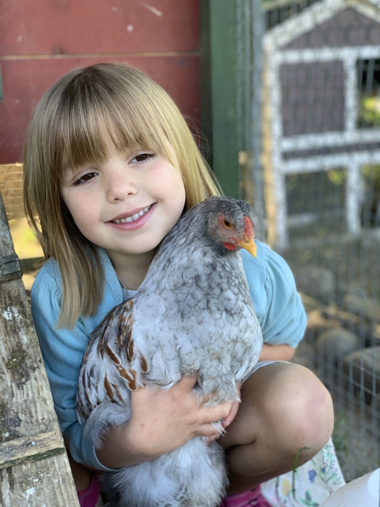 Hønene våres på gården gir oss ferske egg som vi bruker i bakingen, men vi selger også egg som er til overs.