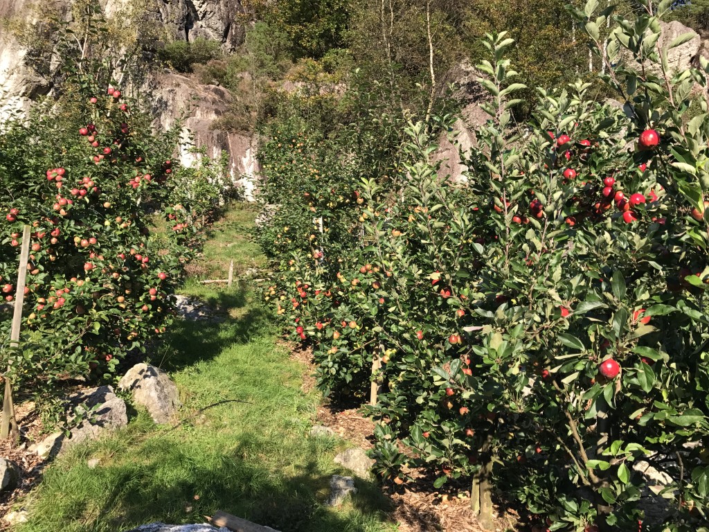 ..med fjell som oppvarming
