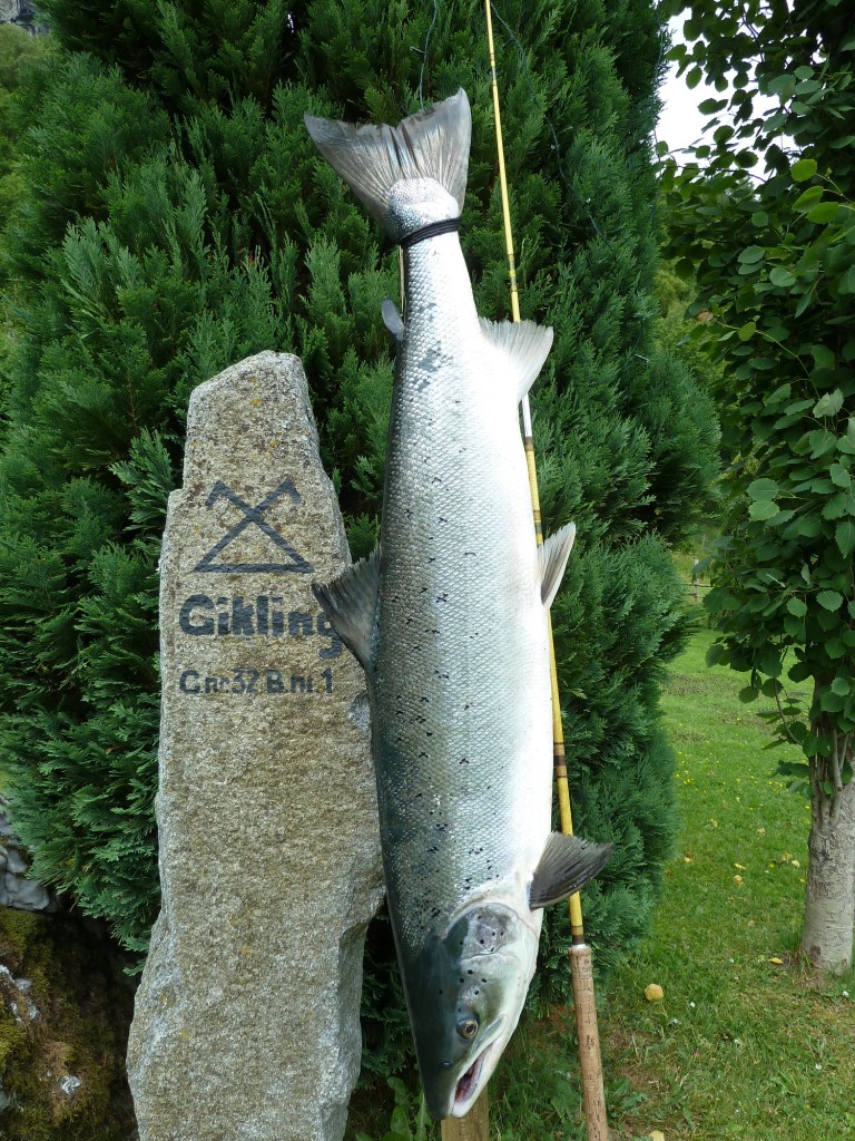 Garden har fiskerett i elva Driva. Gikling elv er kjent for fleire gode hølar.