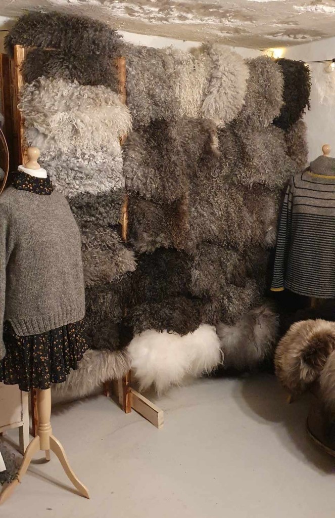 Saueskinn, med krus og krøll. Lammeskinn og saueskinn frå Norsk Pelssau. Merkevare #Fjellfell
Garnet kjem frå sauane på garden, farga Norsk pelsau blanda med lammeull frå dei kvite sauane.