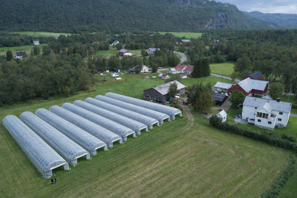 Mannsverk Gård