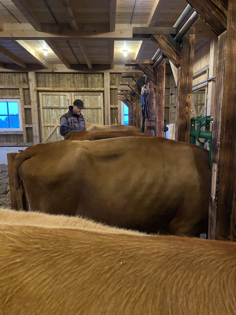 Jacob i morgenstellet