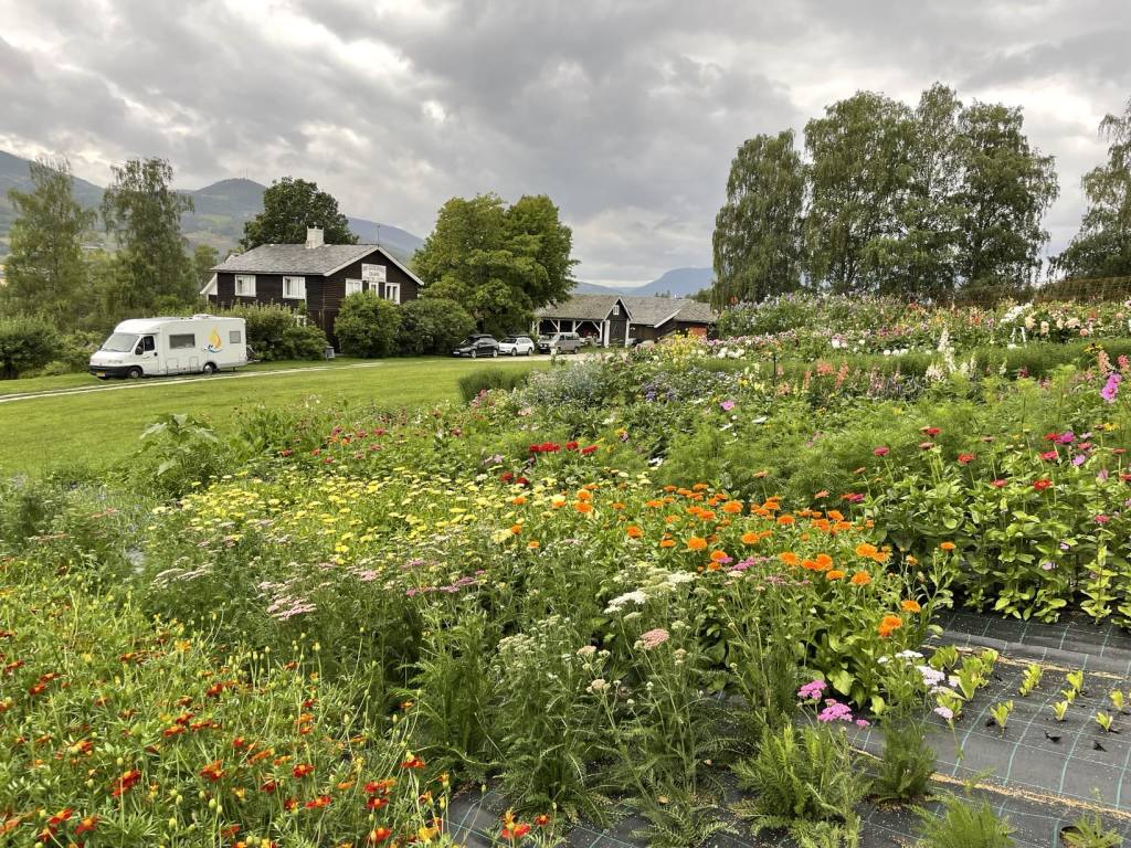 Utsnitt fra Markedshagen med økologiske grønnsaker og blomster i sesong