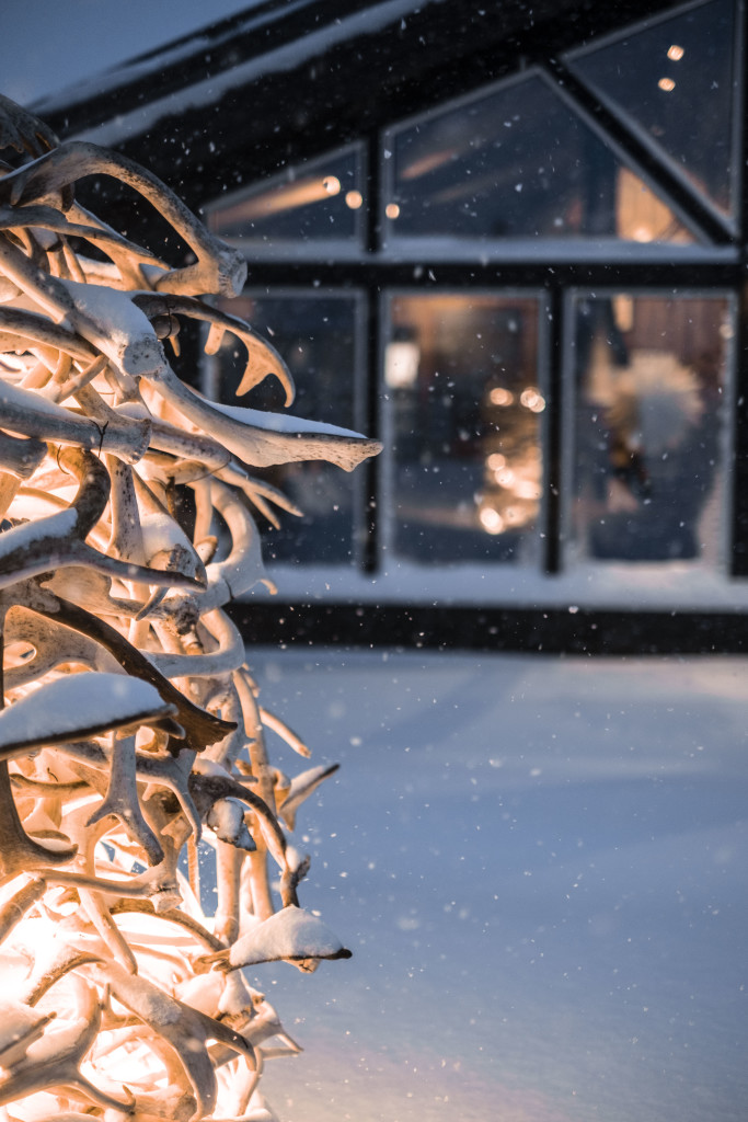 Vi tar også i mot toppturgjester, pudderjakt.