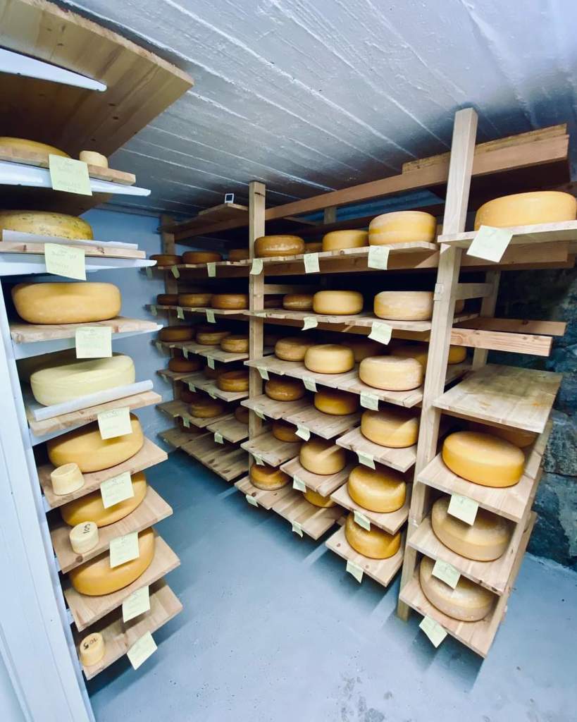 Ung Fjellmann på lager