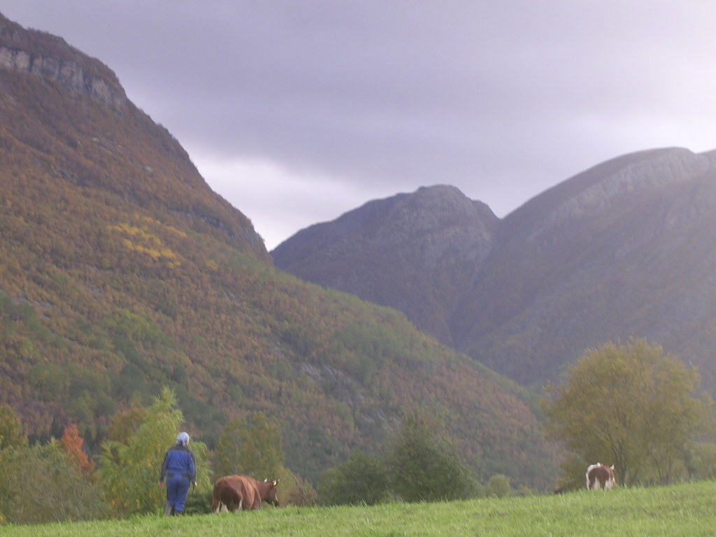 Hauststemning mot Flåklypa