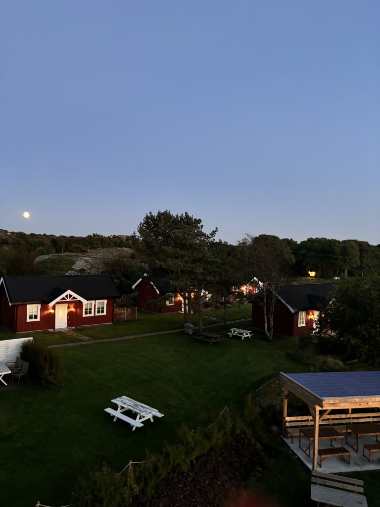 Oversikt over felles uteplass ved leilighetene med grill og pergola samt samlingsplass for småhusene
