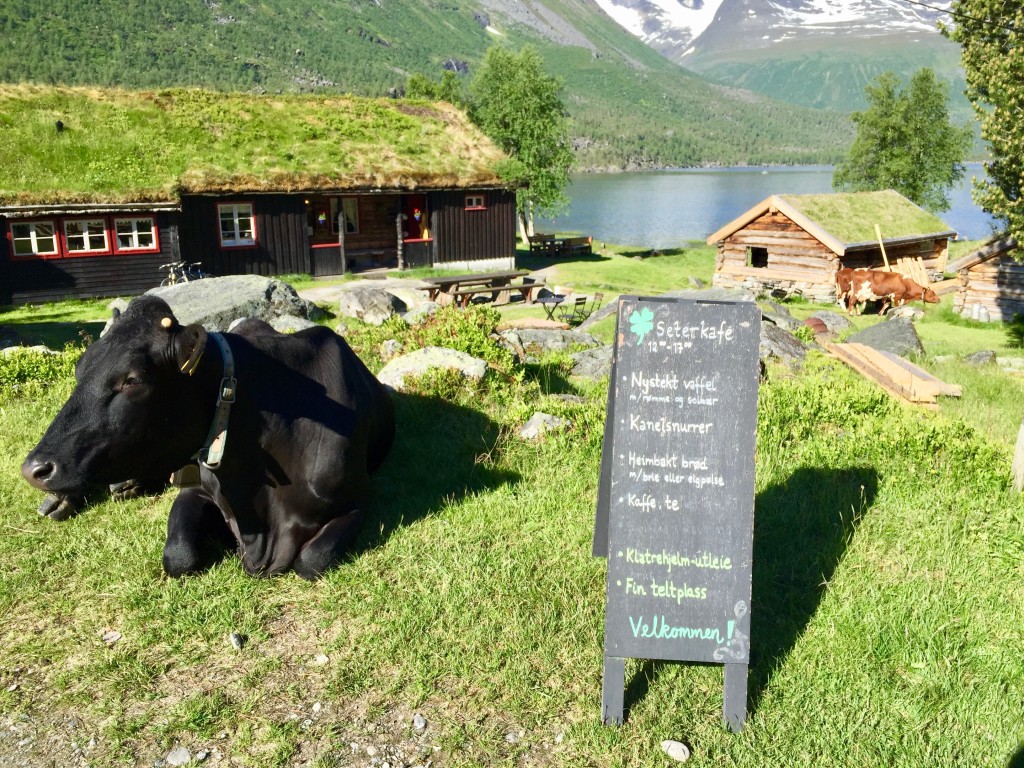 Setertunet