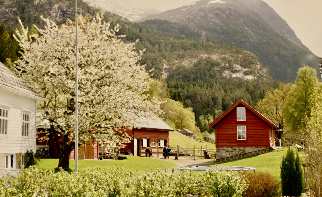 Gygratun Feriegård - En perfekt base for turfolk og barnefamilier.