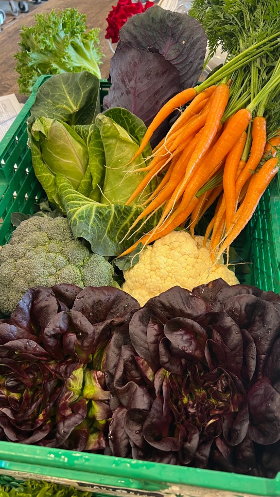 Grønnsaker fra sommeren 25