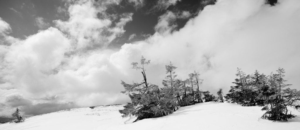 Vinje Bryggeri frå Fjellbygda Vinje