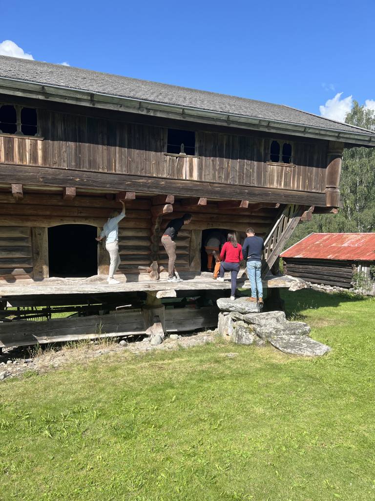Sommerstid inviterer vi alle gjester inn på Sevleloftet hvor vi har et lite mini-gårdsmuseum. Vi forteller også historiene om gården og fortellinga om Sevleguten i løpet av oppholdet.
/// Sevletunet er en slektsgård i øvre Numedal, midt mellom Kongsberg og Geilo. Det er to fredede bygninger på tunet og mye historie og sjel i alle vegger. Vi forteller historiene om gården og den dramatiske fortellinga om "Sevleguten", og serverer hjemmelaget mat. Gro startet gårdsturisme på Sevle i 1997. Gjestegården drives av mor og datter Sevle - Gro og Margun, som er 5. og 6. generasjon. Vi tilbyr overnatting med hjemmelaget frokost og middag, i tillegg til å arrangere kulturhelger, kurs og seminarer. Vi tar også imot busser på rømmegrøt og spekemat. Hjertelig velkommen til gårds! ///