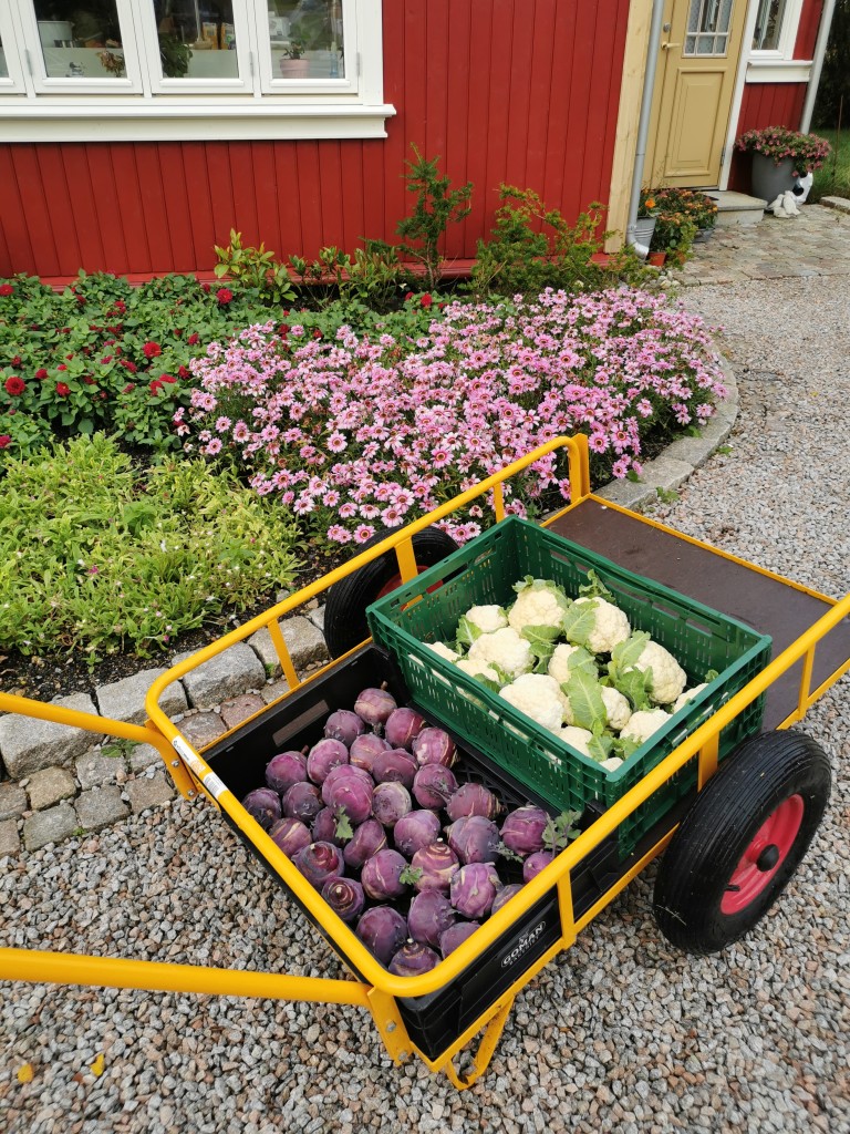 Hos oss får dere både blomster og grønnsaker, alt egenprodusert