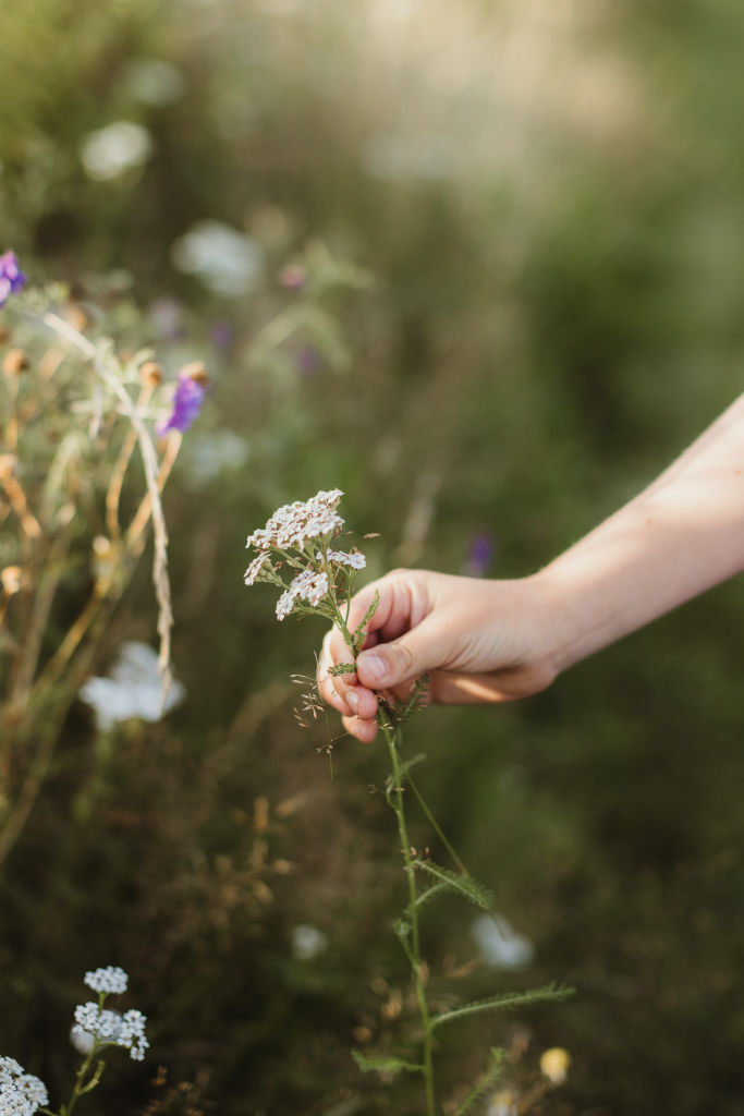 Naturskjønne omgivelser