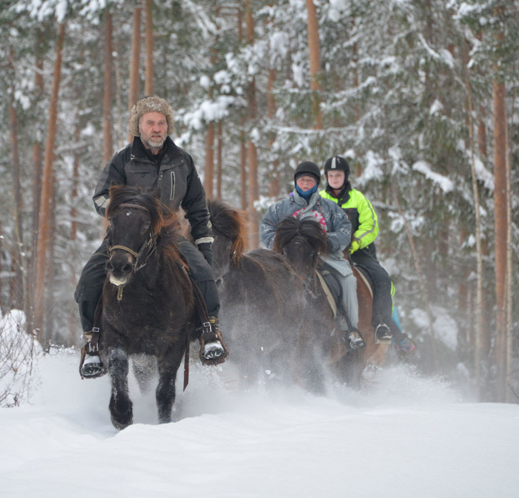 Vinterridning i Heidal