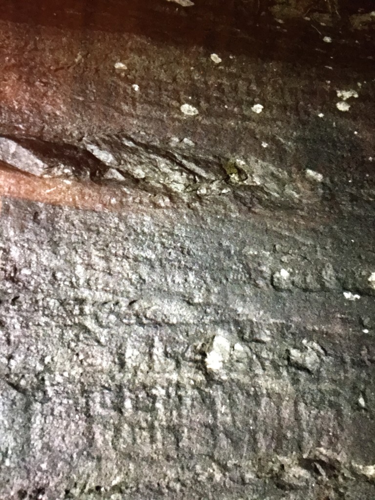 Historiske områder på gården; her Helleristninger (3000 år gamle)