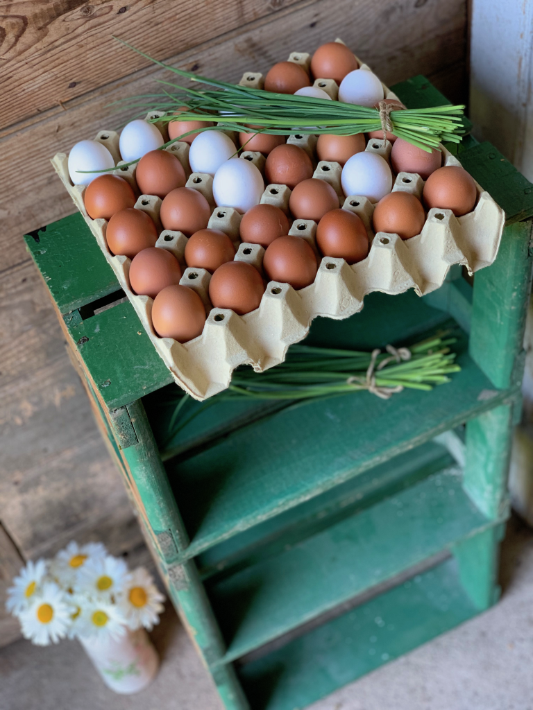 På sommeren selger vi egg fra lykkelige høner som beiter fritt. Eggene kommer fra Martin på Solkysten Farming i Brunlanes.