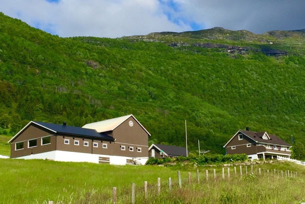 Fjellgården Sveji.