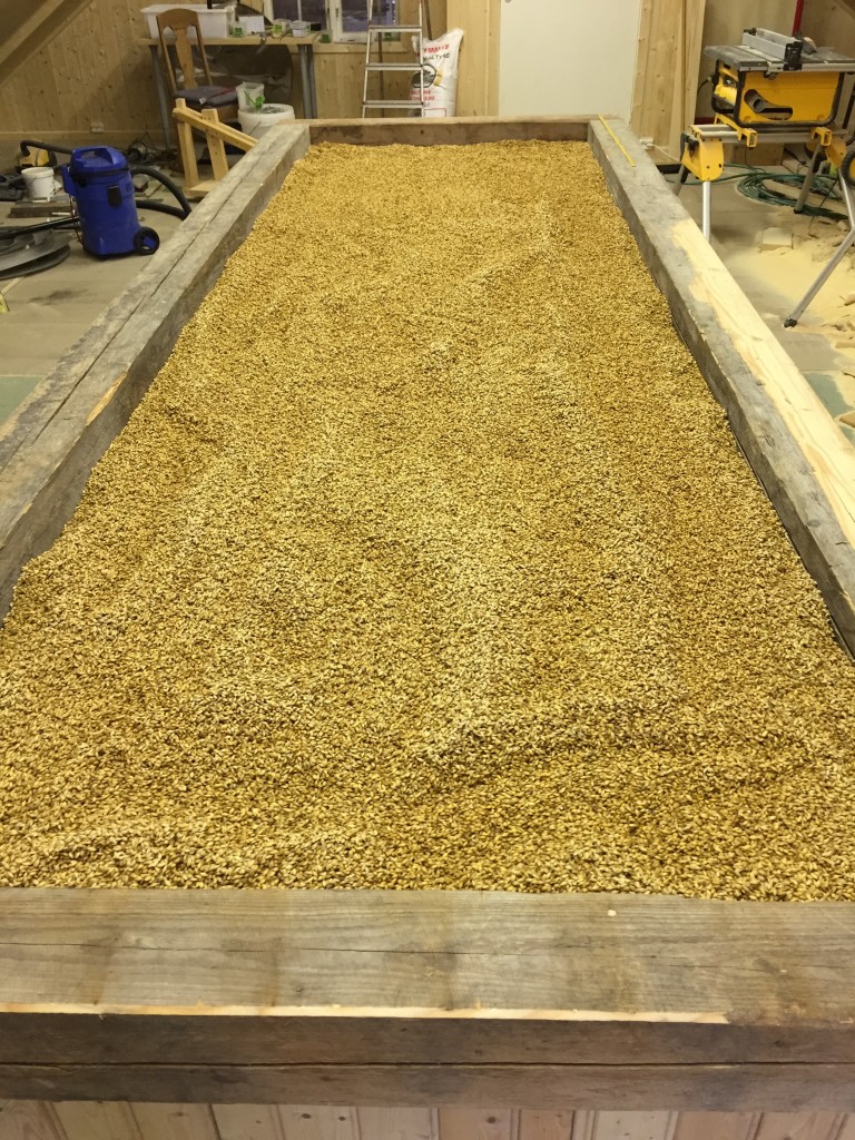 Produksjon av malt på Maltloftet