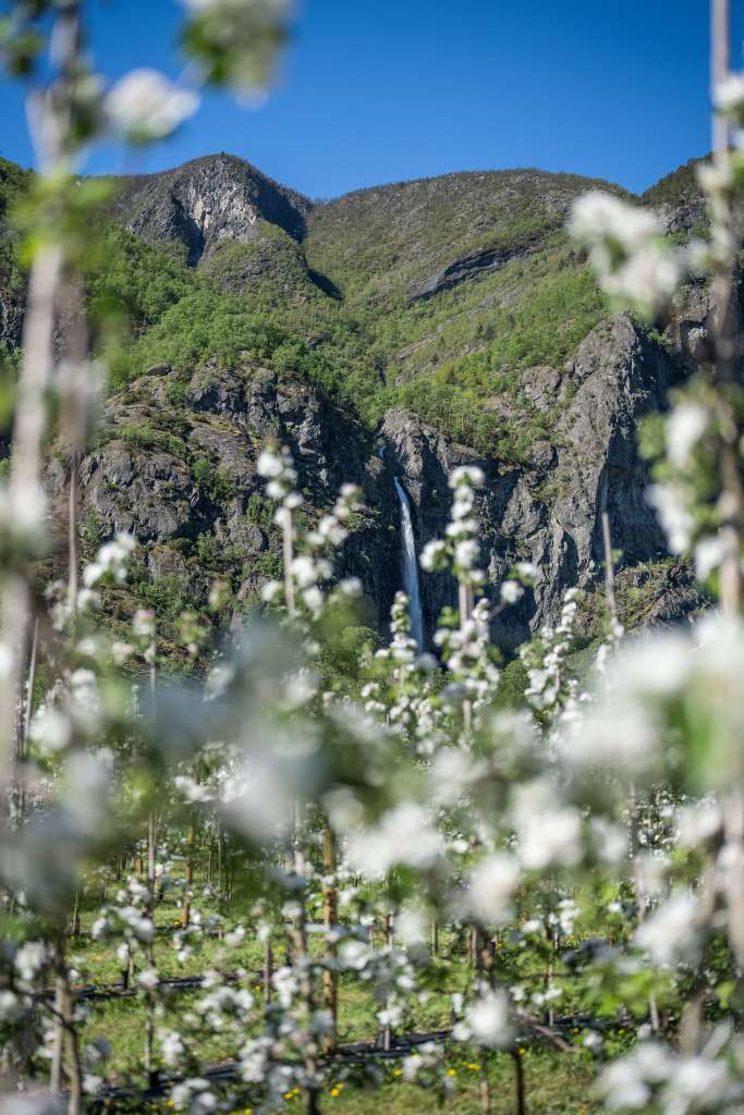 Bøafossen