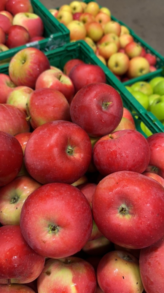 Egenproduserte epler