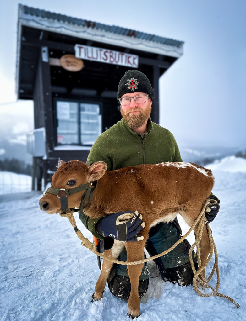 Viss du ynskjer å besøkje oss og kose med de raggete kyra våre kan du ringje eller sende oss ein e-post sån at me kan planleggje å vere tilstede når du kjem.