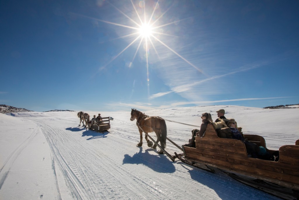 Med hest og slede innover Skarvheimen