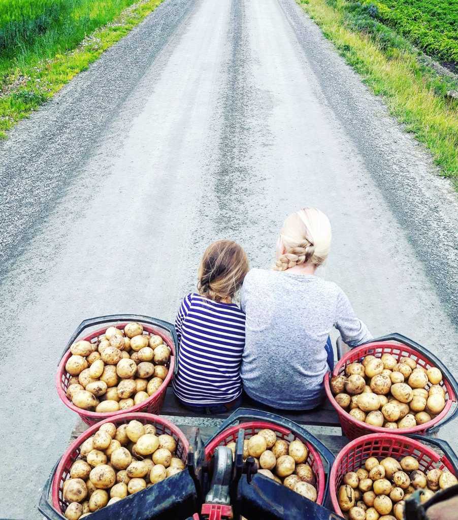 Potethøsting hos søstrene