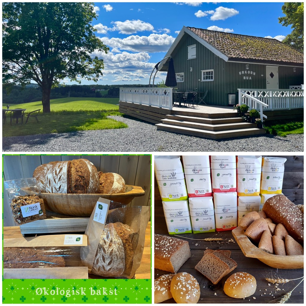 Urkornbua er Norsk Urkorns eget utsalg av egne produkter og andre lokale matvarer. 
Vi har økologisk mel av spelt, emmer, dala landhvete og svedjerug. Baksten er av mel fra eget korn.