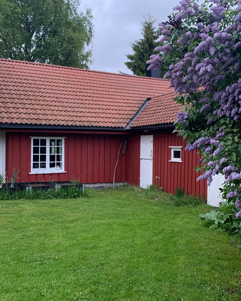 På baksiden av Fjøset er det inngang til felles utstyrsbod for gjestene.
Vi har også eggutsalg fra Solkysten Farming på sommeren.