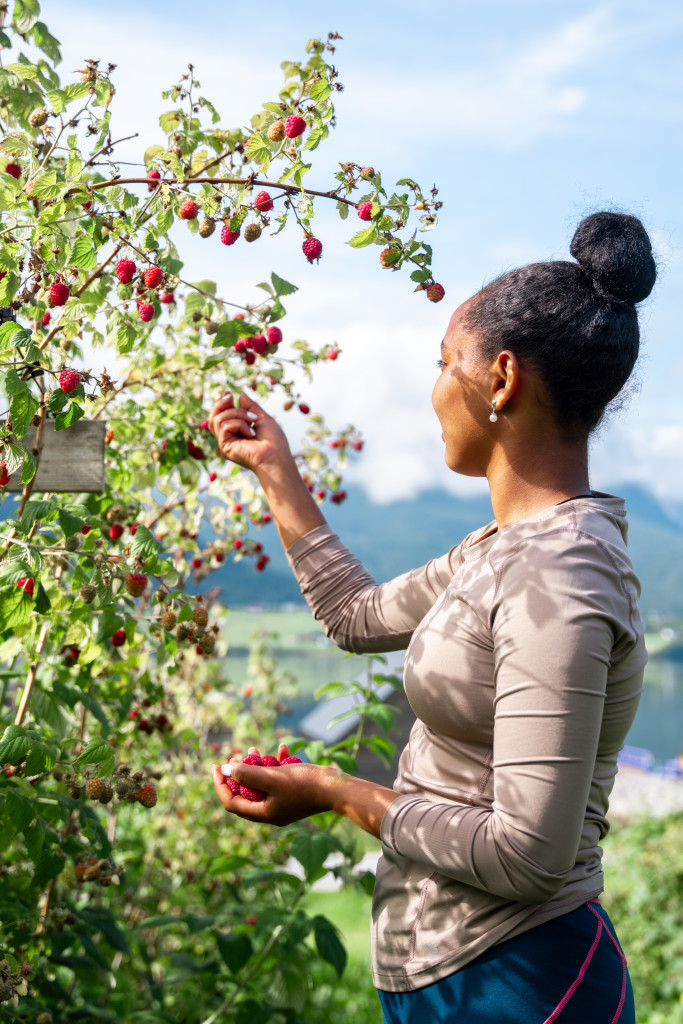 Alle produkta vi lager med bringebær kjem frå eigne bær som vi haustar på garden vår.