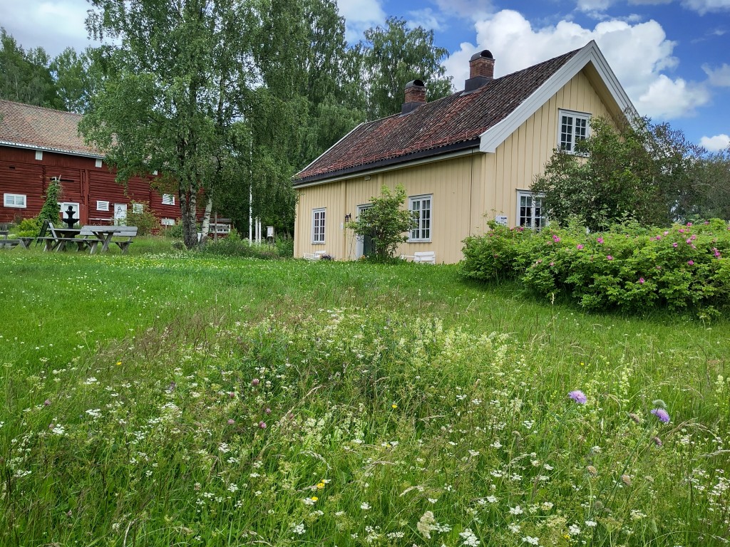 Kårstua er fra midten av 1800 tallet og de første som bodde her på kår var Lars Haralds tip tip oldeforeldre. Her bodde senere bl.a. forpaktere, flyktninger fra Finnmark under 2. verdenskrig, arbeidsfolk på gården mm. Den er nå restaurert tilbake til slik den var opprinnelig og her kan gjestene våre få omvisning og en spennende historie. Den leies også ut. Om sommeren sparer vi på blomsterenger på tunet. Her koser vakre sommerfugler og insekter seg. Det er funnet 52 spiselige arter på tunet vårt.