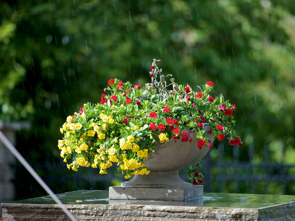 Det sies at regn på bruden bringer lykke. Tun og inngangsparti er brostensbelagt med gjerder og skifersøyler, som er super å dekorere med blomster.
