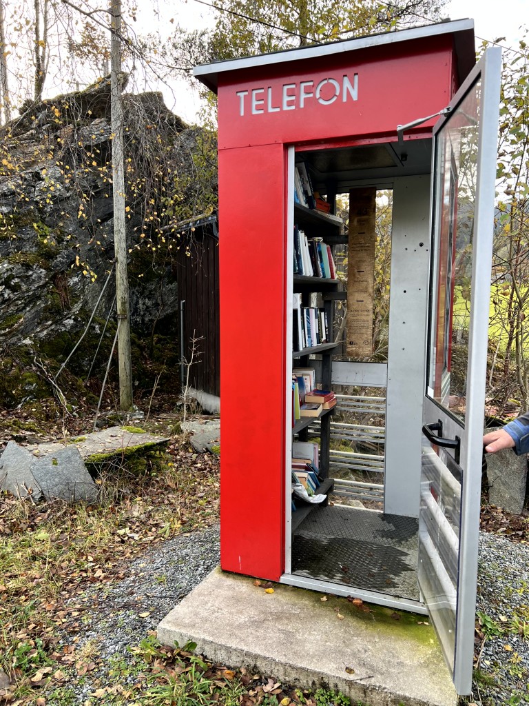 Lesekiosk