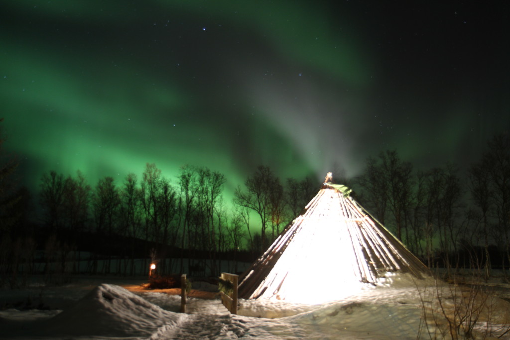 Lavvo i vinterprakt og nordlys. Vi har nordlysbelte over gården og lite lysforurensing. Er det nordlys, kan vi nyte det.